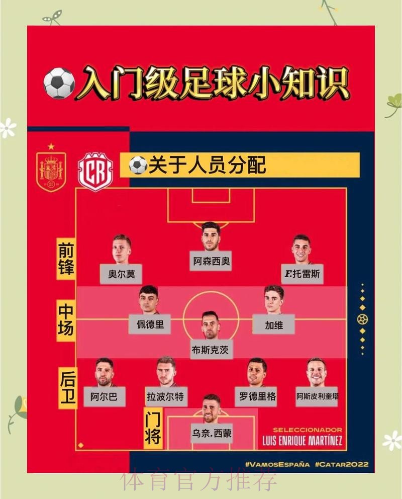 官方教程：如何查看世界杯比分指南